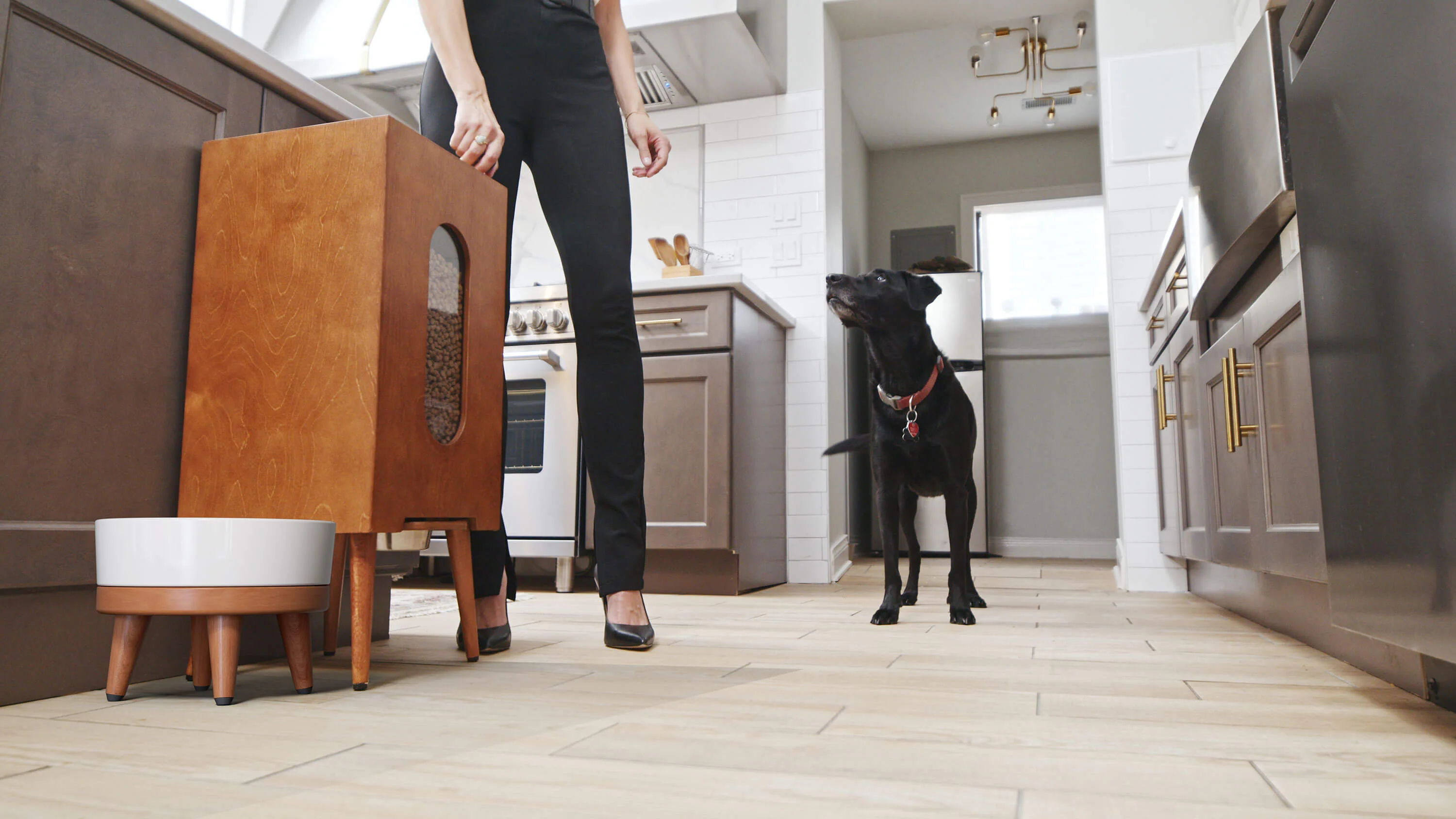 Houndsy Kibble Dispenser - Image 28